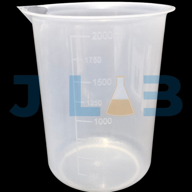 بشر پلاستیکی ۲۰۰۰